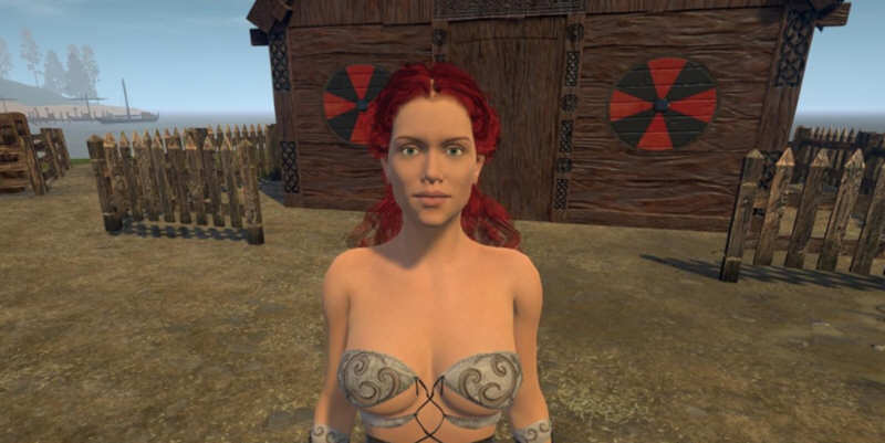 维京人的女儿 V2.4 精翻汉化版 大型3D游戏+绅士版巫师3 4G-次元小屋