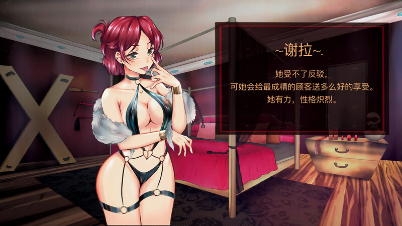 【日式SLG/官中/PC】天堂喜悦 Paradise Delight V2.0 STEAM官中步兵版  [PC]-破次元